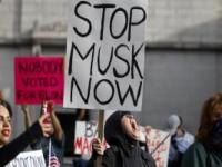 马斯克发帖怒批：这一决定“绝对疯狂”