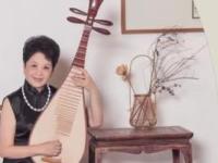 《零基础学琵琶》课程