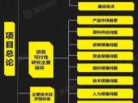 投资决策前必不可少的关键环节:可行性分析报告