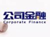 《公司金融》课程
