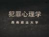 《犯罪心理学——西南政法大学》课程
