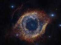 人类如果灭绝 这生物最可能接管地球