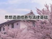 《思想道德修养与法律基础（武汉大学）》课程