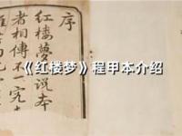 《《红楼梦》程甲本介绍》课程