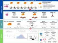 柑橘抗抑郁、防脱发、调基因，闻一闻改善记忆力