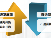 企业并购流程之方案制定