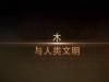 《木与人类文明》课程
