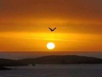 《毛泽东军事思想》课程