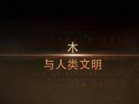 《木与人类文明》课程
