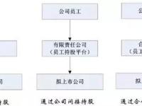 股权激励员工持股平台:个人、公司、有限合伙有啥不同?