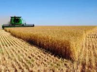 《乡村振兴的时代意义与规划蓝图》课程