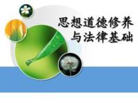 《思想道德修养与法律基础（清华大学）》课程